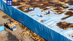 共20万立方米！冰雪大世界存冰启用预备工做起头